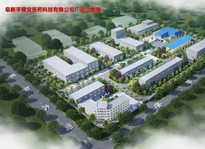 工廠(chǎng)鳥(niǎo)瞰圖